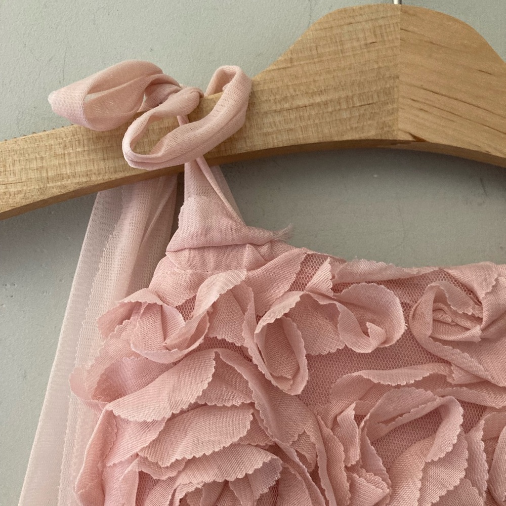 $20 ADD ON sweet charlotte pink tulle (brand tagged as zara bc SC not an option) - Picture 3 of 3